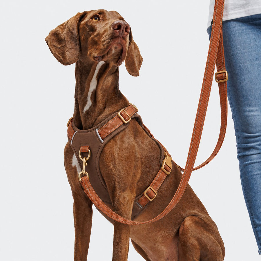 TrueStride™ Ergonomisch Y-Tuig (met borstclip)